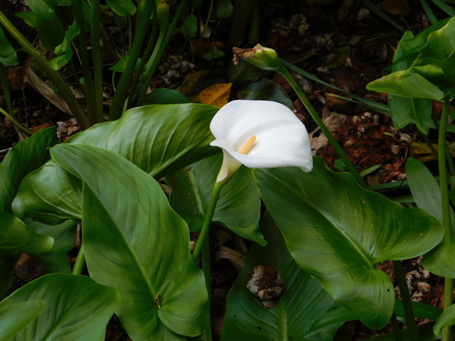 DSCN6848.JPG