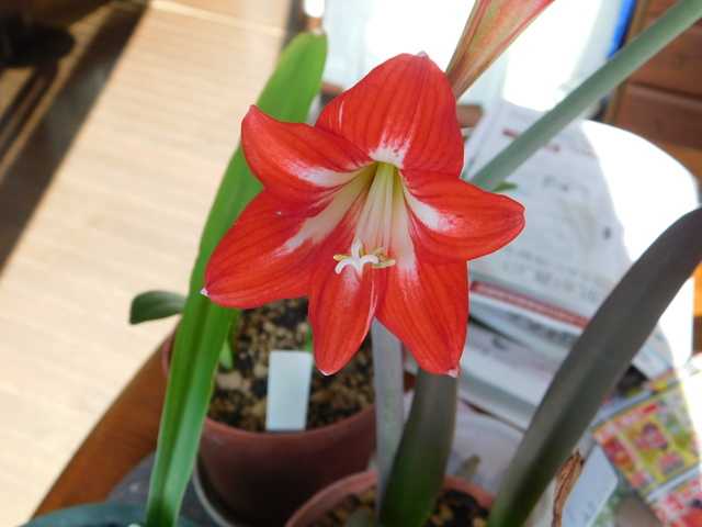 DSCN6875.JPG