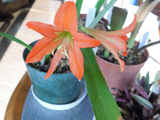 DSCN6878.JPG