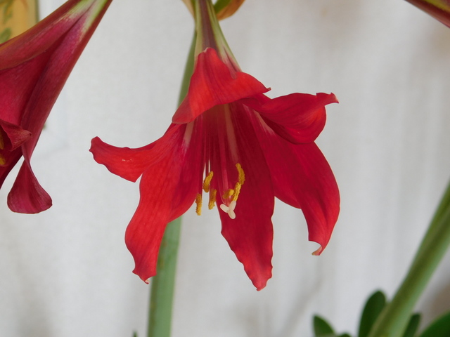 DSCN6879.JPG