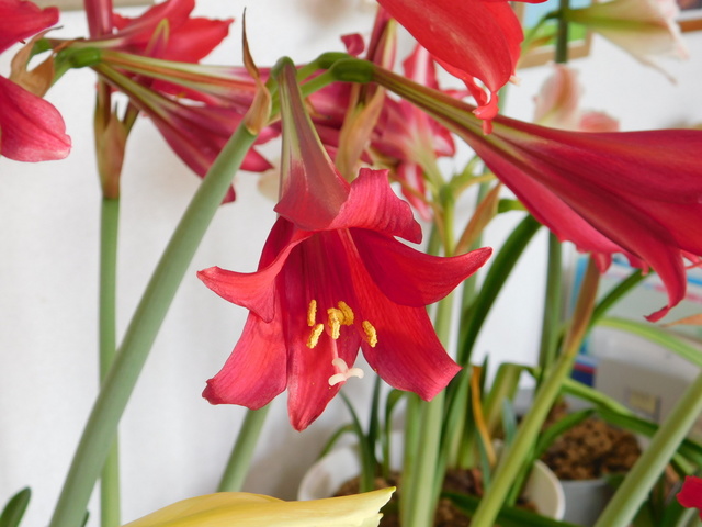 DSCN6884.JPG