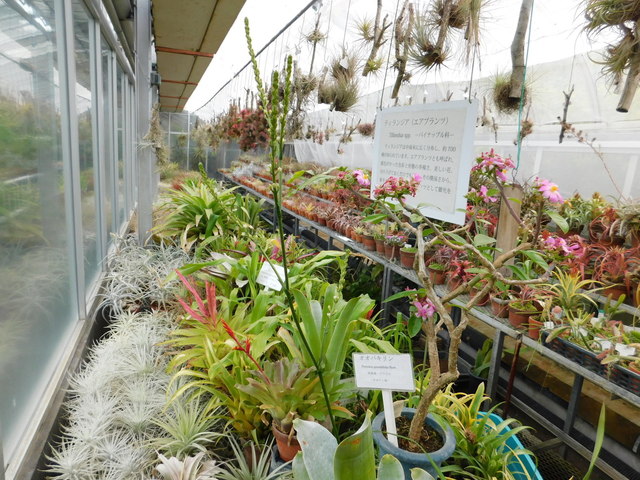 DSCN6970.JPG