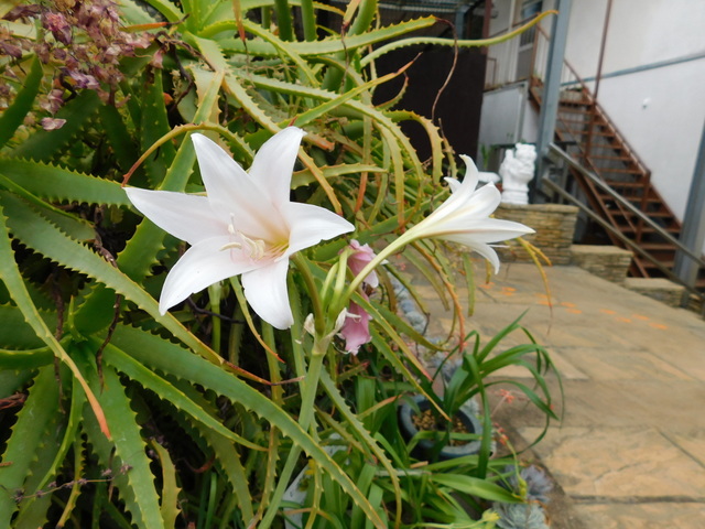 DSCN6984.JPG