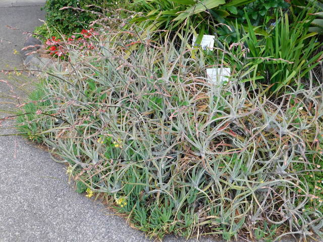 DSCN6990.JPG