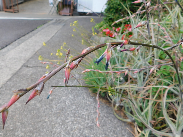DSCN6992.JPG