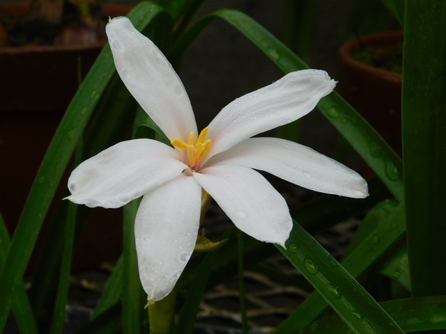 DSCN7016.JPG