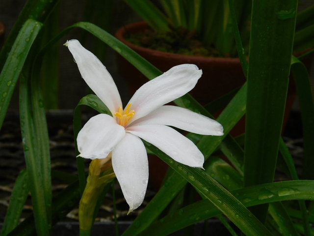 DSCN7017.JPG