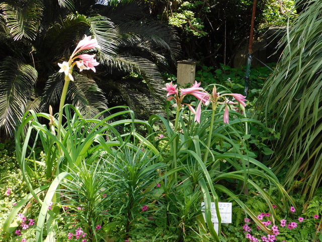 DSCN7030.JPG