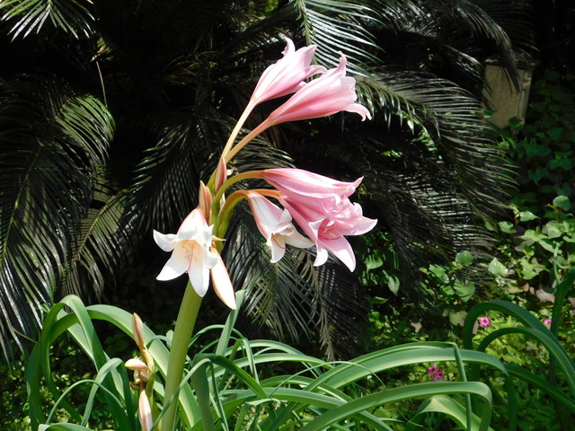DSCN7032.JPG