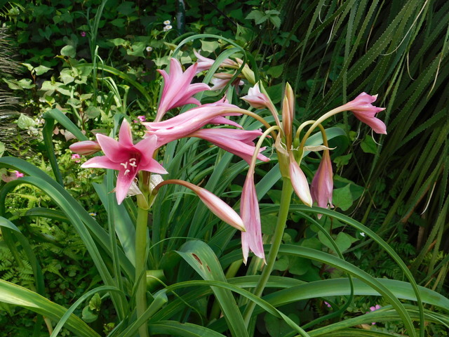 DSCN7034.JPG