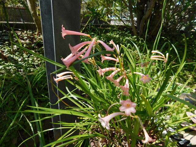 DSCN7035.JPG