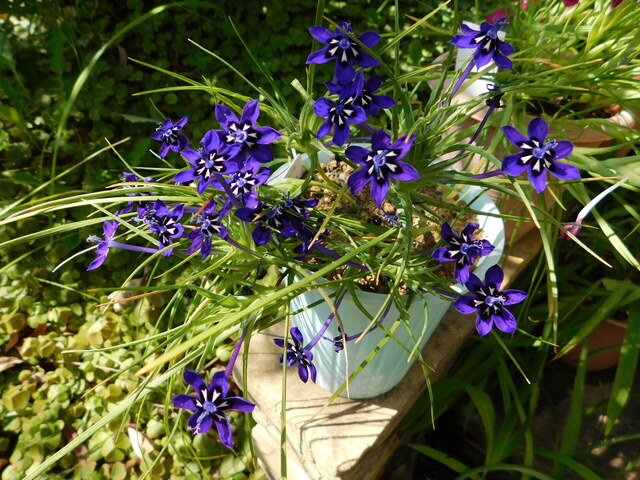 DSCN7036.JPG