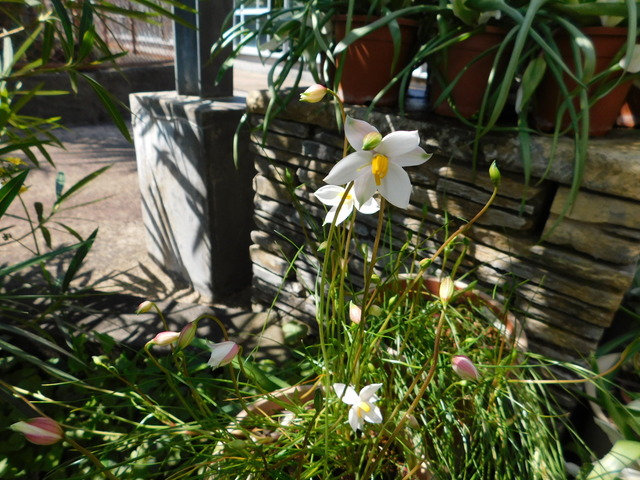 DSCN7041.JPG