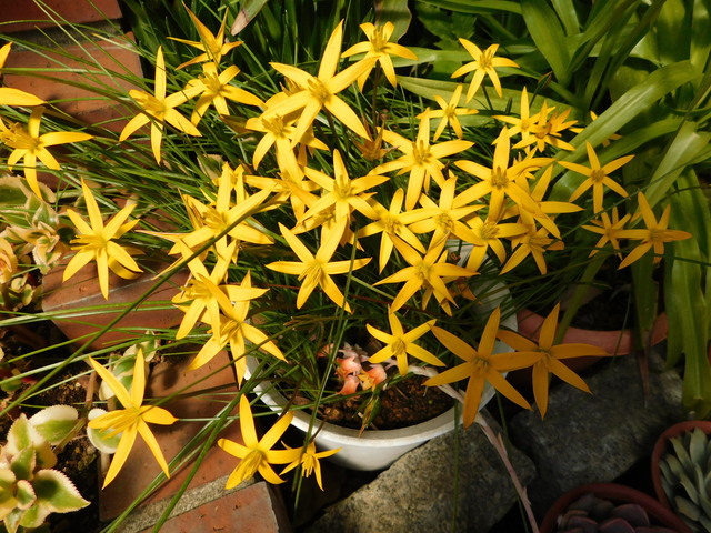 DSCN7047.JPG