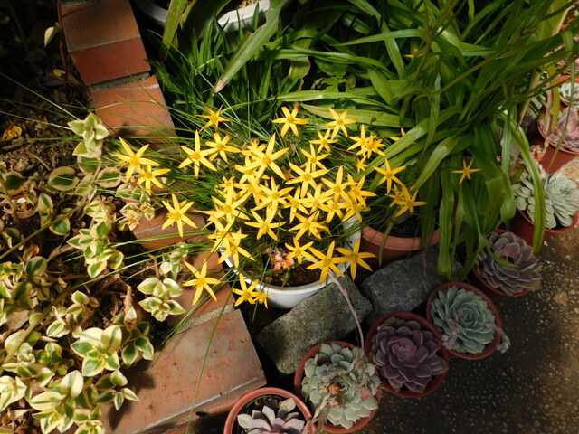 DSCN7048.JPG
