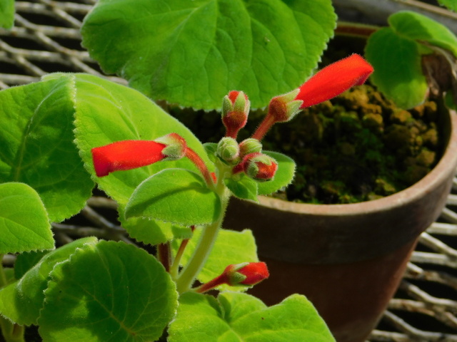DSCN7054.JPG