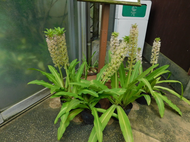 DSCN7067.JPG