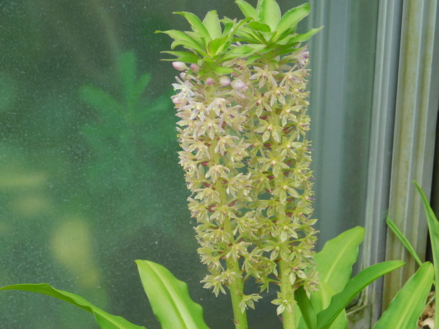 DSCN7069.JPG