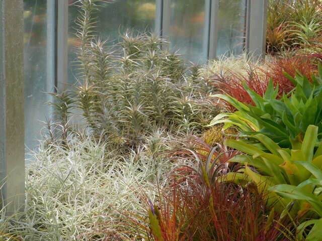 DSCN7070.JPG