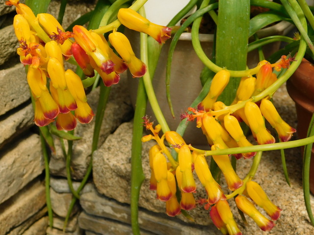DSCN7078.JPG