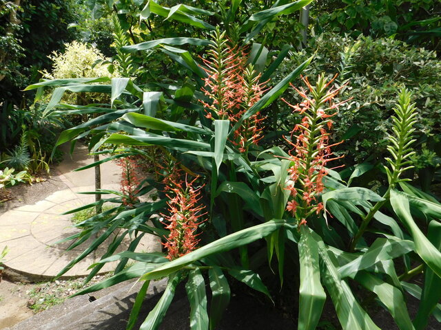 DSCN7082.JPG