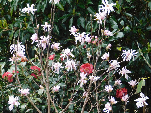 DSCN7101.JPG