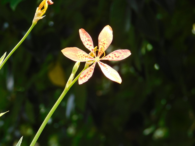 DSCN7103.JPG