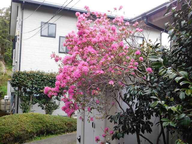 DSCN7105.JPG