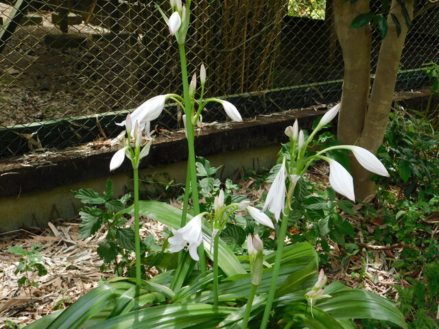 DSCN7107.JPG
