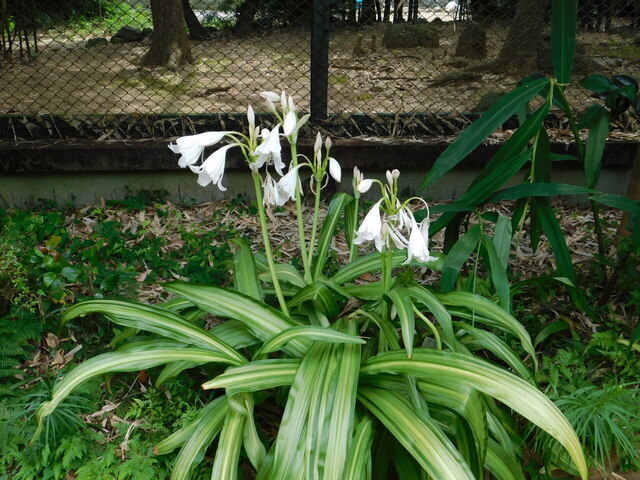 DSCN7108.JPG