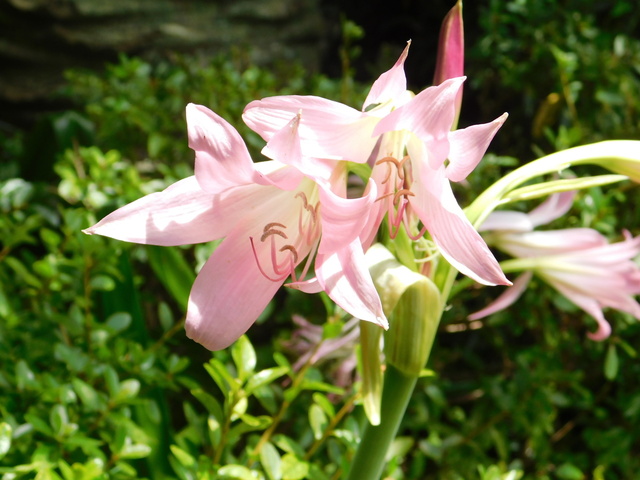 DSCN7113.JPG