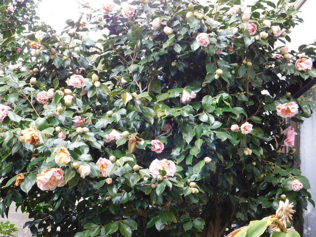 DSCN7137.JPG