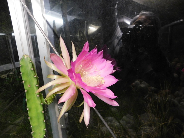 DSCN7496.JPG