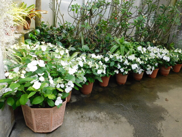 DSCN7566.JPG