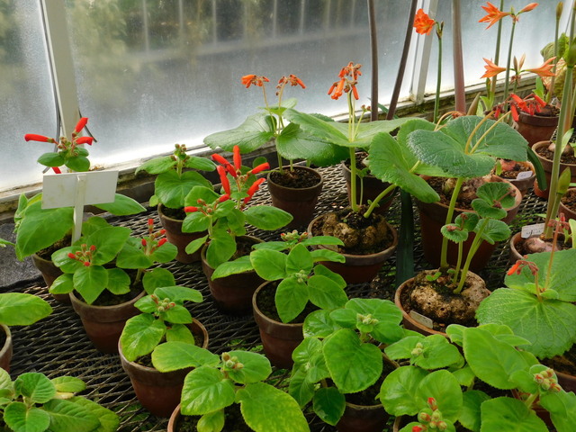 DSCN7572.JPG