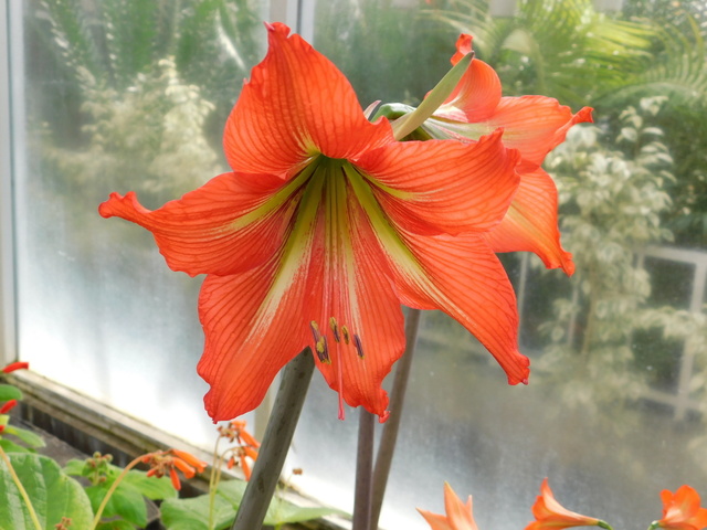 DSCN7578.JPG