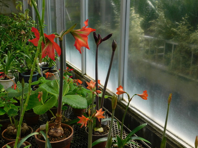 DSCN7579.JPG