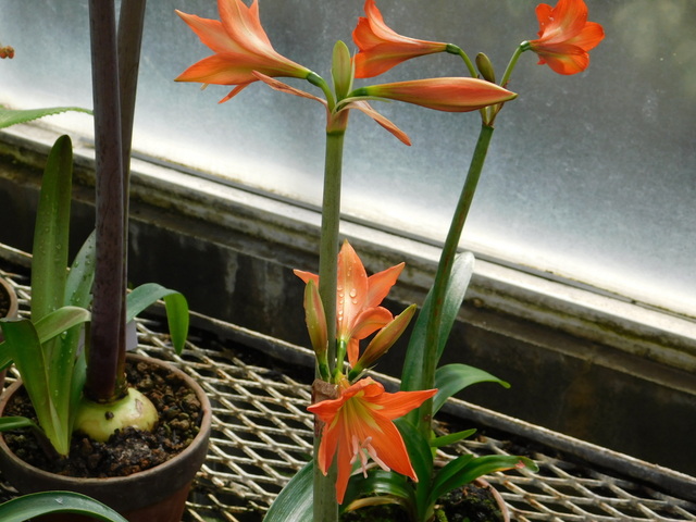 DSCN7582.JPG