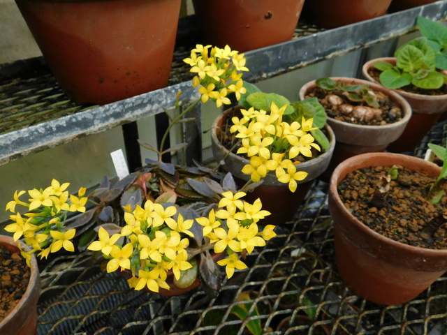 DSCN7583.JPG