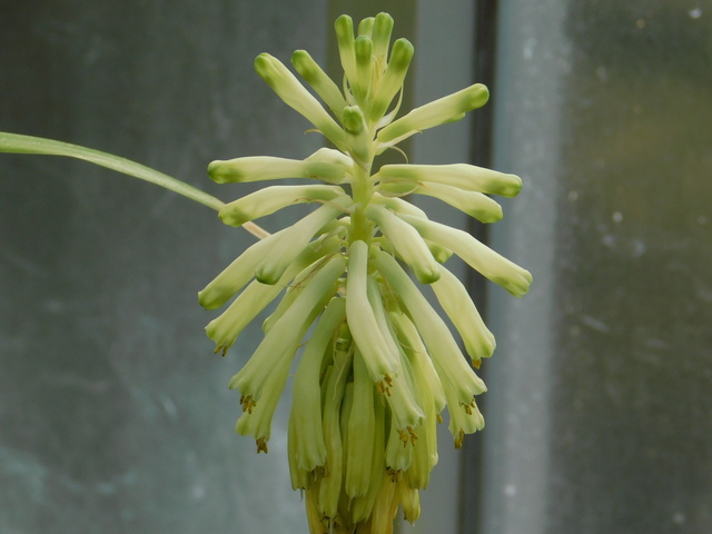 DSCN7589.JPG