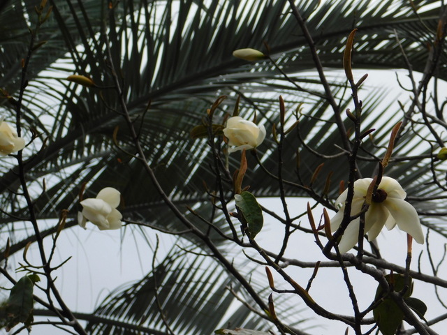 DSCN7635.JPG