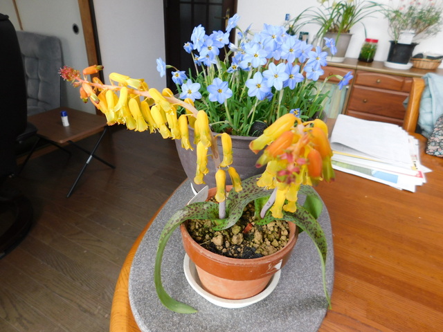 DSCN7685.JPG