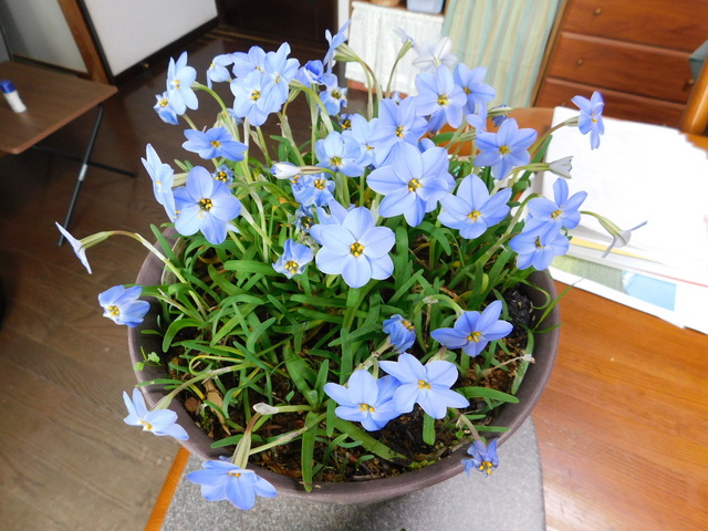 DSCN7687.JPG