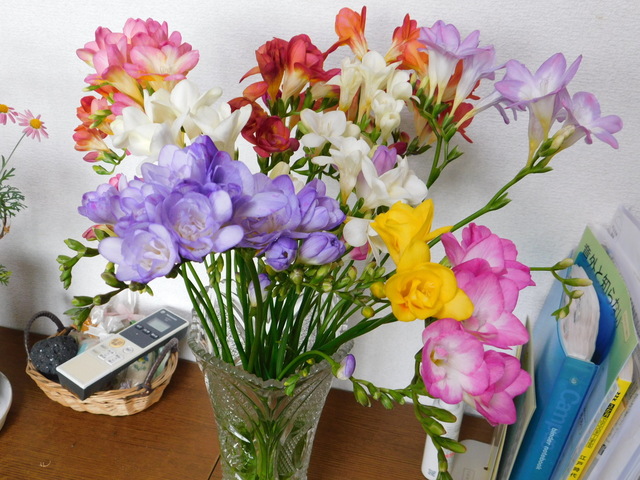 DSCN7691.JPG
