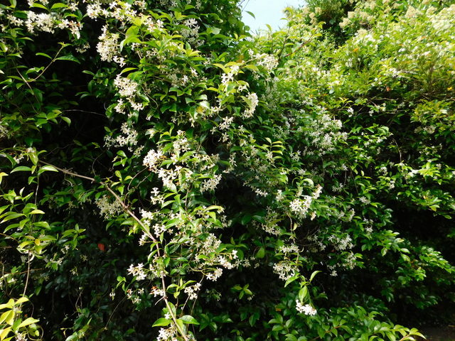 DSCN7710.JPG