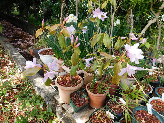 DSCN7762.JPG