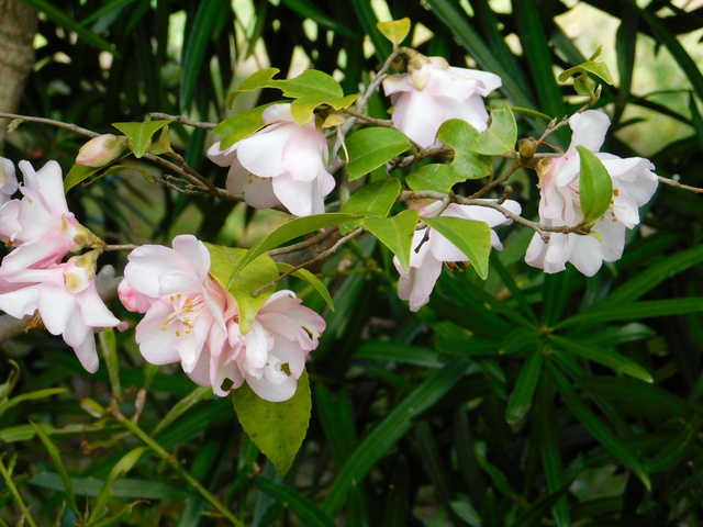 DSCN7767.JPG
