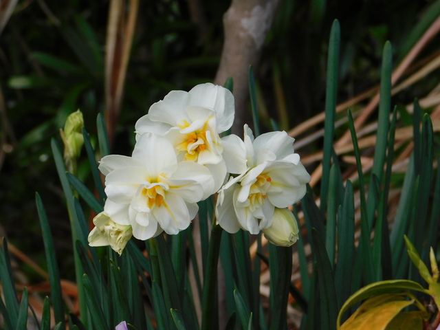 DSCN7768.JPG