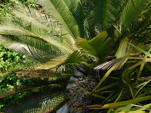 DSCN7771.JPG