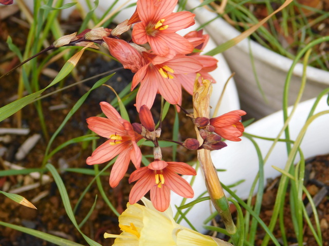 DSCN7776.JPG